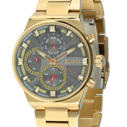 Оригинальные мужские часы GUARDO Premium 12724-5