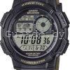 AE-1000W-5A