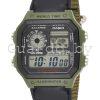 AE-1200WHB-3B