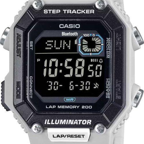 WS-B1000-8B