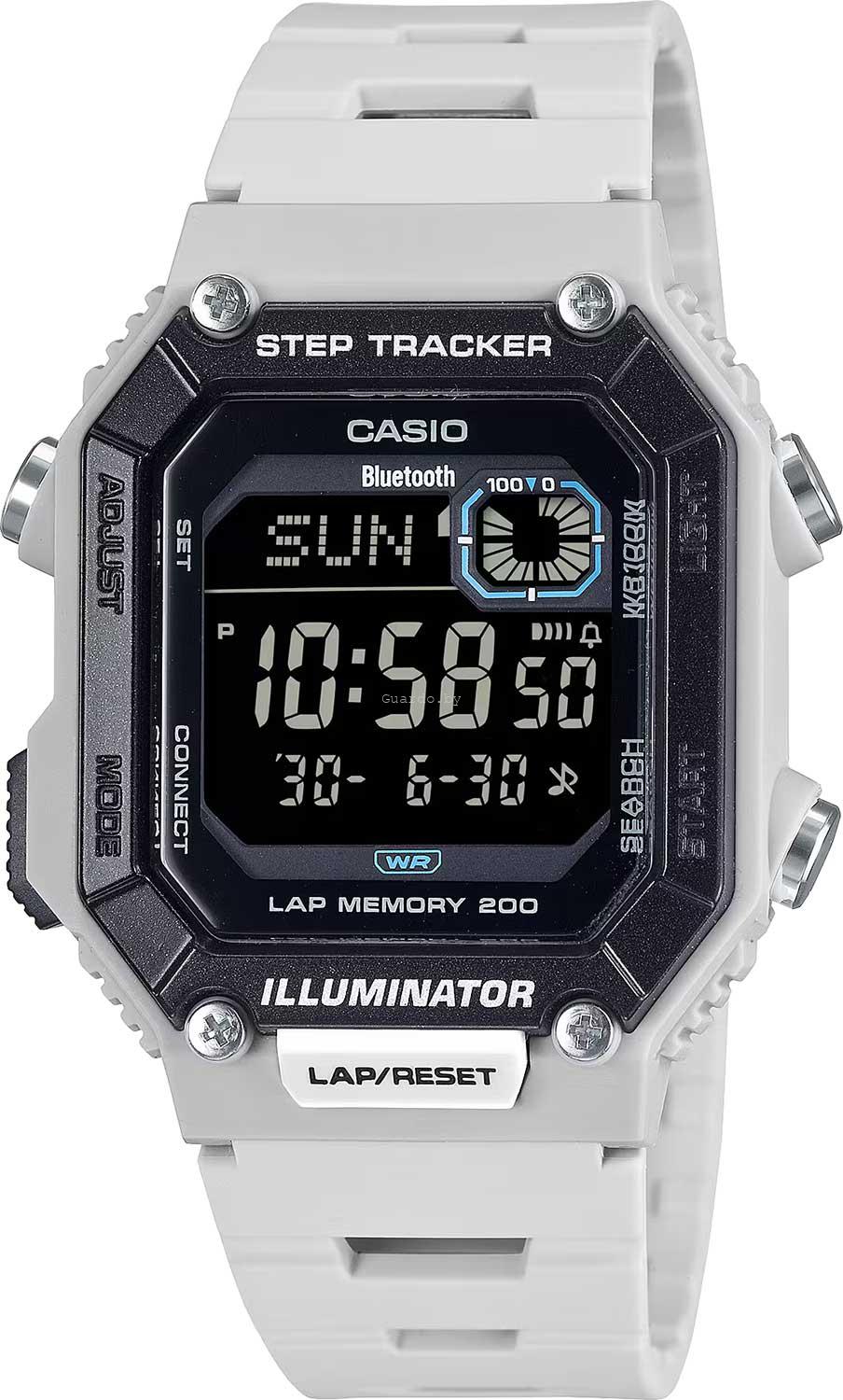 WS-B1000-8B